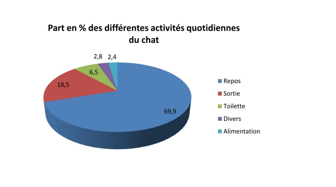 La part des occupations du chat