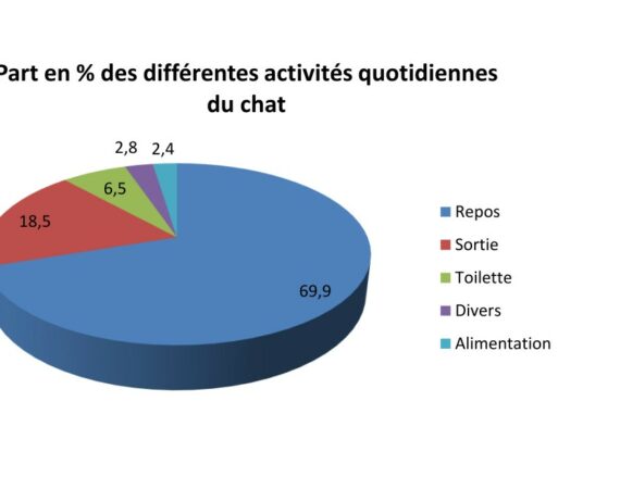 La part des occupations du chat